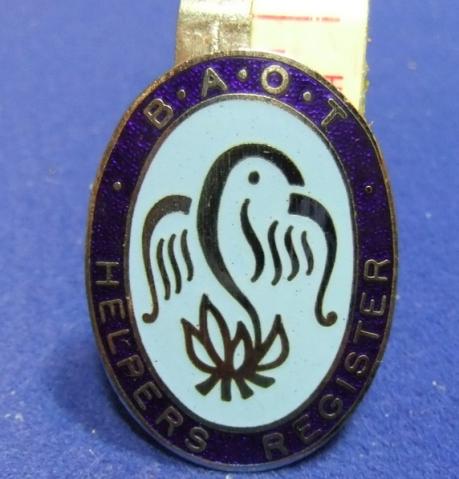 BAOT badge occupational therapists assocn helpers register medical nursing