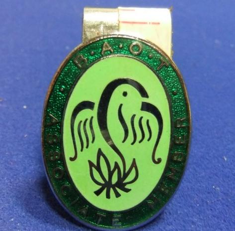 BAOT badge occupational therapists associate member nursing hospital care