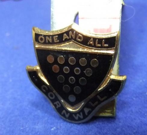Girl guides ? county cornwall badge crest member membership souvenir brooch